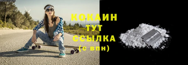 индика Магас