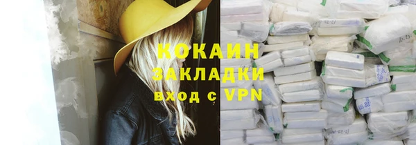 индика Магас