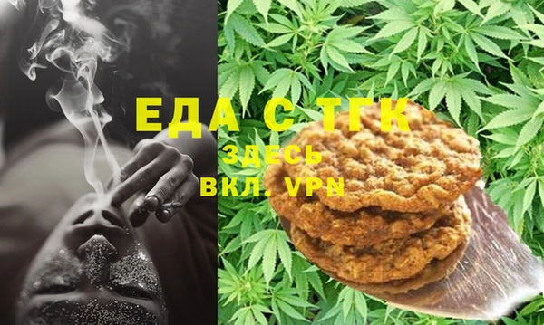 индика Магас