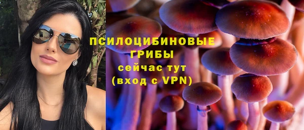 индика Магас