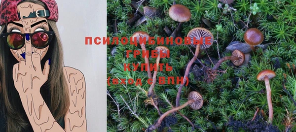 прущий лед Березники